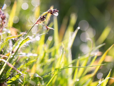 Naturkindergarten Wohltorf - Impressionen