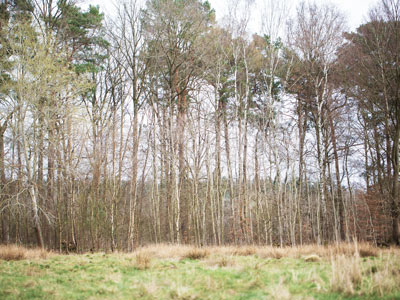 Naturkindergarten Wohltorf - Impressionen