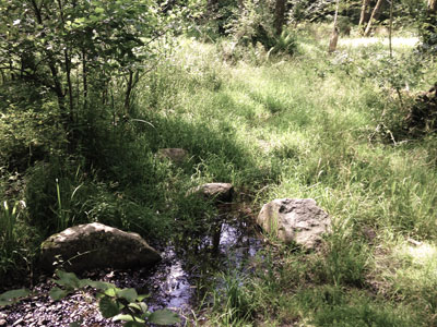 Naturkindergarten Wohltorf - Impressionen