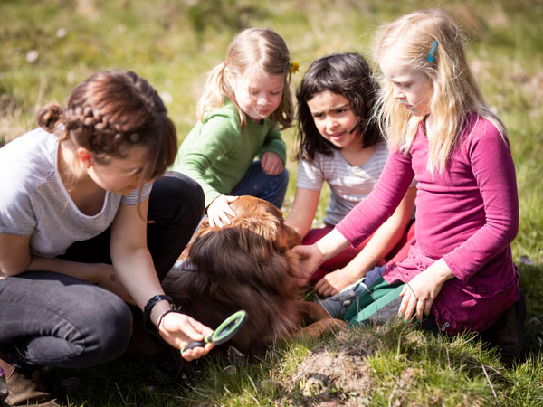 Naturkindergarten - Ein sicherer Raum für spielendes Lernen und Forschen