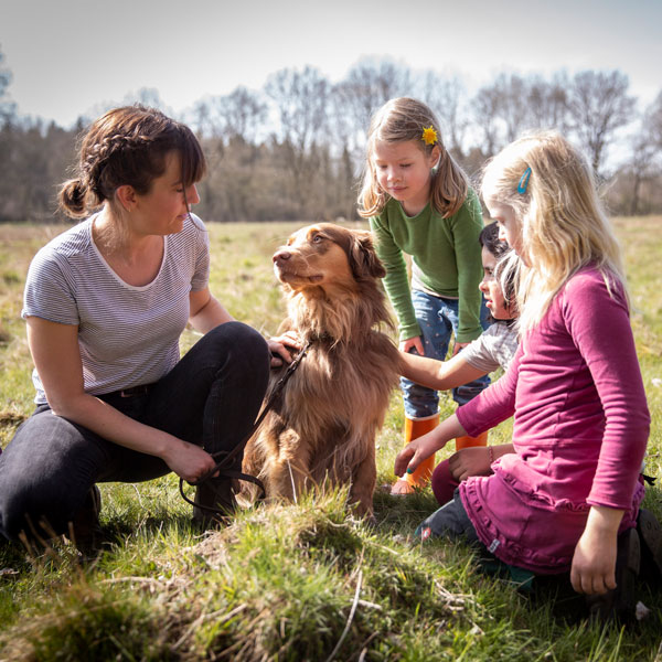 Sam Kindergartenhund